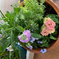 ストックの画像