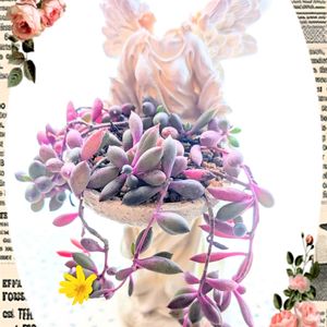 開花,ルビネ,天使の日,コラージュ仲間達,なんちゃってサモトラケのニケの画像