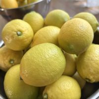 レモン,我が家の庭の画像