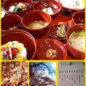 キク,花言葉,紅葉（こうよう）,旅の思い出♡,幸せの黄色いお花の画像