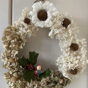 西洋ヒイラギ,紫陽花,ブラキカウロス,チランジア ブラキカウロス,チランジア ブラキカウロスの画像