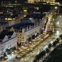 パクチー,ヤシの木,ミリオンバンプー,ベトナム,ベトナムの料理の画像