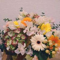 アジサイ,アジサイ,ガーベラ,ガーベラ,ガーベラの画像