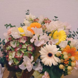 アジサイ,アジサイ,ガーベラ,ガーベラ,ガーベラの画像