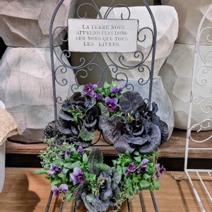 葉牡丹,ビオラ,寄せ植え,リースの寄せ植えの画像