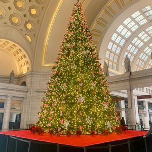 クリスマスツリーの画像