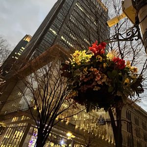 シクラメン,ハンキング,イルミネーション,丸の内の画像