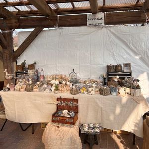 多肉寄せ植え,癒し,大人可愛い,多肉植物のある暮らし,イベント出店の画像