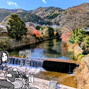 紅葉,京都,お疲れ様です♡,地震お見舞い申し上げます,天龍寺の画像