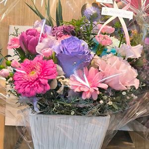 お出かけ先の画像