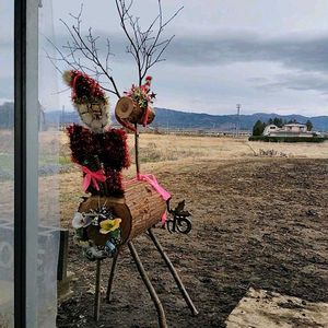 お出かけ先の画像