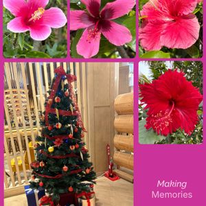 沖縄,㊗️じゅんさん4700pic,㊗️じゅんさん２度目の4700Pic,お出かけ先の画像