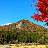 モミジ,石同好会,石の日の画像