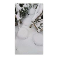 ホオズキ,サツキ,カキ,祈り,花袋の画像