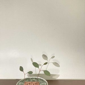 ユーカリ,ユーカリ,一輪挿し,花瓶,花のある暮らしの画像