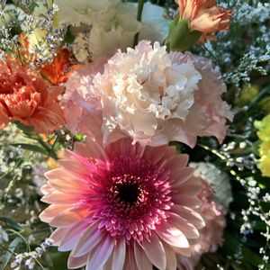 ガーベラ,花束の画像