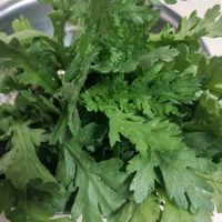 春菊,ガーデニング,ネコ好き,プランター野菜,種まきっ子の画像