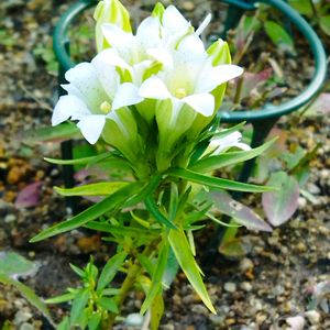 部屋,窓辺の画像