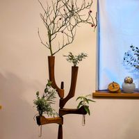 シロタエギク,ブッドレア,つるバラ...,ユーカリ,葉っぱの画像