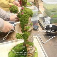 箱庭,木の実のアレンジ,ミニジオラマ,ワークショップ作品,くるみ*ガーデンの世界の画像