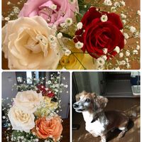 バラ,かすみ草,癒し,和む,やさしい気持ちの画像