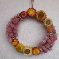 千日紅,千日紅,ニゲラ,貝細工,貝細工の画像