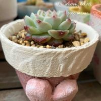 火祭り,レッドベルベット,キュンキュン乙女倶楽部,HTC,富山支部の画像