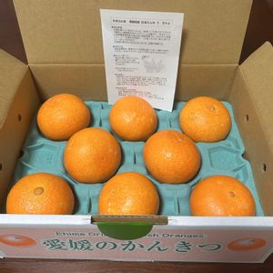 ネギ,タマネギ,紅まどんなの画像