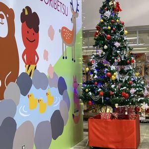 白い花,ピンクの花,クリスマスツリー,淡いピンク,濃いピンクの画像