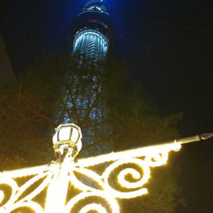 フラワーアレンジメント,イルミネーション,ガーデニング,散策,クリスマスツリーの画像