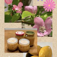 カリン,カリン,カリンジャムの画像