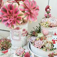 多肉の寄せ植え,リメ鉢,ハンドメイド好き,毎月15日はいちごの日,クリスマス月間の画像