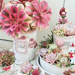 多肉の寄せ植え,リメ鉢,ハンドメイド好き,毎月15日はいちごの日,クリスマス月間の画像