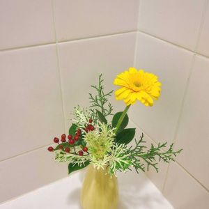 葉牡丹,山野草,生け花,季節の花の画像