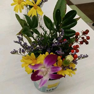 スターチス,スターチス,デンファレ,ユリオプス デージー,ユリオプス デージーの画像