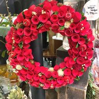 ポインセチア,ポインセチア,クリスマス飾り♪,クリスマス飾り,ウクライナに平和をの画像