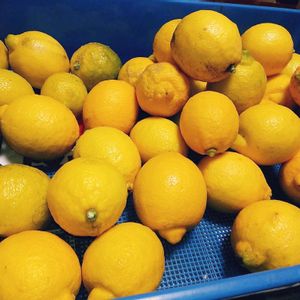 レモン,果物,収穫,道の駅の画像