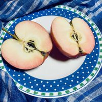 リンゴ,新種,寒冷地,炎舞　えんぶの画像