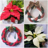 ポインセチア,可愛い〜♡,クリスマスリース,優しい色合い♡,癒やされての画像