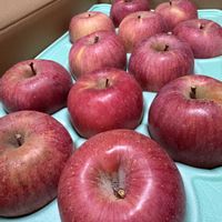 リンゴ,カズー,２０２０年５月同期,能登半島の復興を願いますの画像