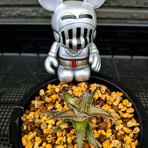 ディッキア・メタルストライプス,バイナルメーション,ブーのメタルストライプス,メタルなアイツ,モヤシ炒め定食の画像