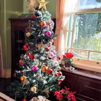 シクラメン,ポインセチア,❥植物❥空模様❥コラボ❥,クリスマス月間,真っ赤な火曜日の画像