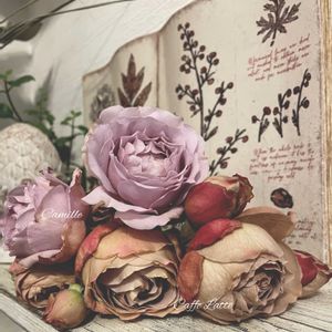 カフェラテ,カミーユ,バラのある暮らし,広い庭の画像