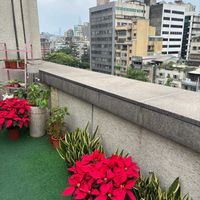 ポインセチア,胡蝶蘭,クリスマス,ホテル,ホテルの花の画像