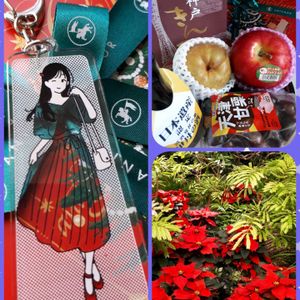 ポインセチア,花言葉,繋がりに感謝✨,クリスマス月間,お散歩ちゃんキーホルダーの画像