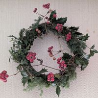 ヒイラギ,サルトリイバラ,サルトリイバラ,サルトリイバラの実,サルトリイバラの実の画像