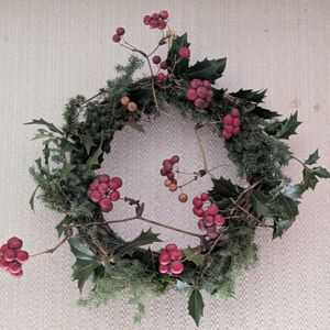 ヒイラギ,サルトリイバラ,サルトリイバラ,サルトリイバラの実,サルトリイバラの実の画像