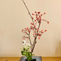 小菊,アズキナシの実,いけばな,花のある暮らしの画像