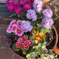 軒下,玄関アプローチの画像