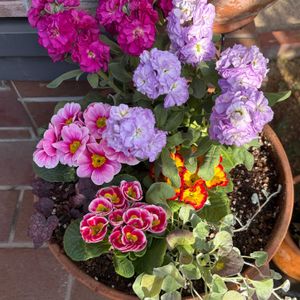 軒下,玄関アプローチの画像